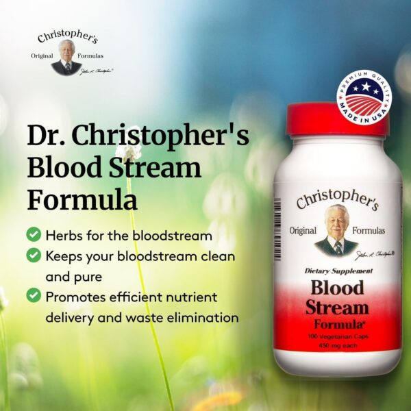 Blood Stream Formula ingredientes