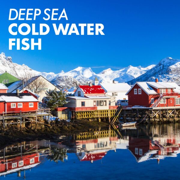 Version 1.0.0 Bluebonnet cápsulas vitamina A y D3 sin gluten ni lácteos