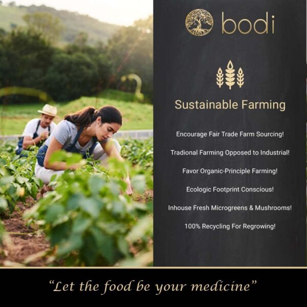 Version 1.0.0 Polvo extracto bodi Goldenseal presentación lateral