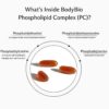 BodyBio fosfatidilcolina presentación