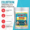 BodyBoost colostro bovino instantizado para salud y bienestar general