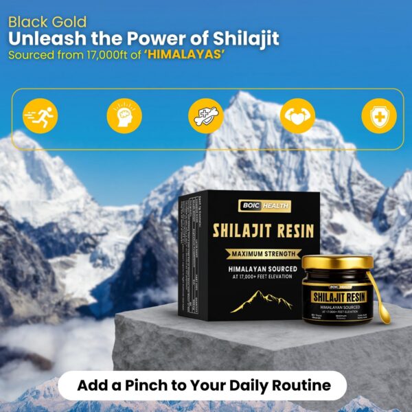 Ingredientes minerales en Shilajit