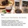 Sayan extracto Chaga orgánico sin rellenos sin OGM vegano