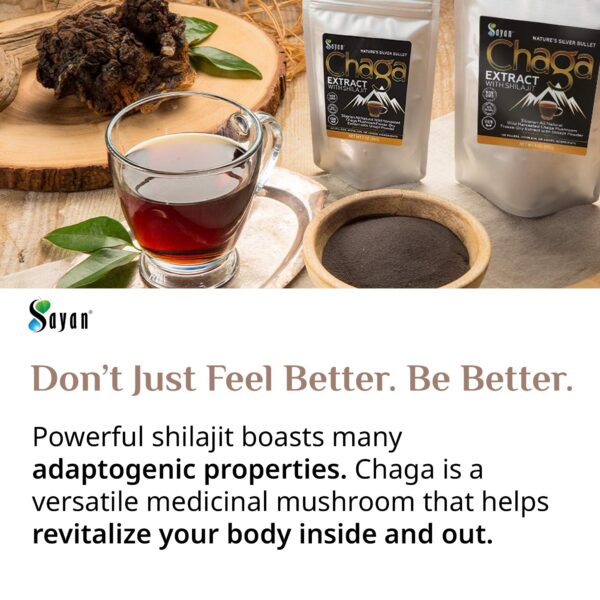 Sayan extracto Chaga orgánico sin rellenos sin OGM vegano