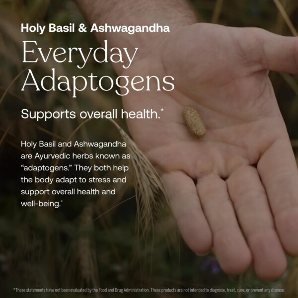 Bolsas de recarga ecológicas para True Grace