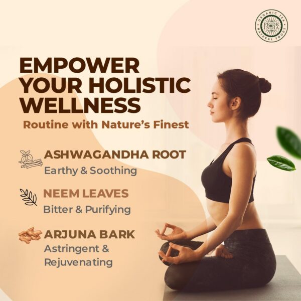 Botanical pack ayurvédico Pride Of India 15.06 oz