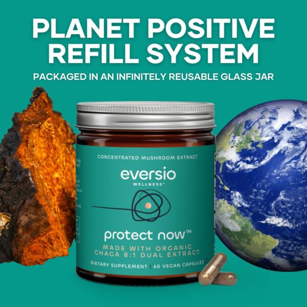 Bote suplemento fungi hongo Chaga orgánico Eversio Wellness