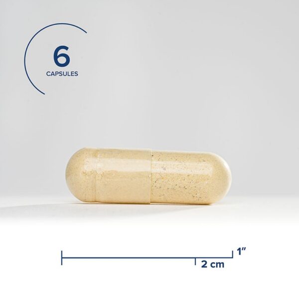 Bote de vitaminas prenatales sin metilo Seeking Health