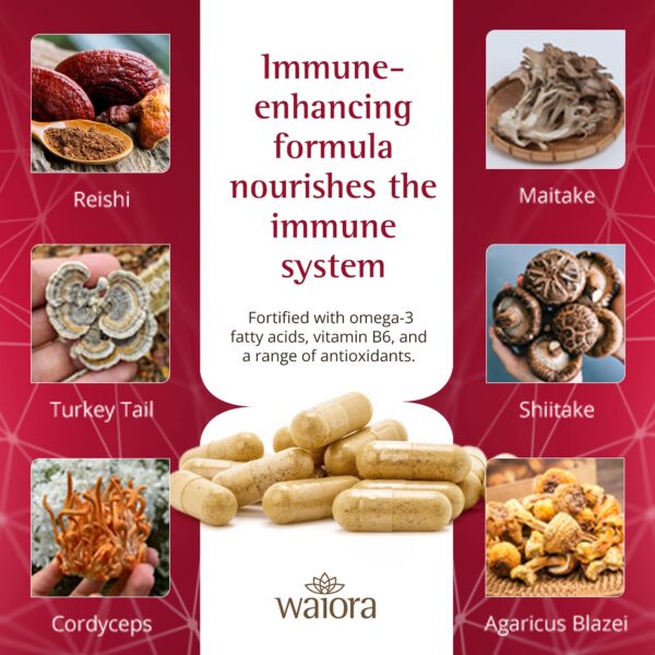 Botella de cápsulas de hongos MegaDefense con tapa abierta