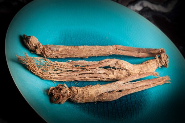 Botella frontal Dragon Herbs 8 Immortals concentrate extract