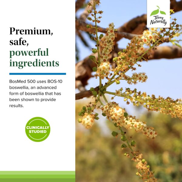 Botella de suplemento BosMed 500 mg Terry Naturally 60 cápsulas blandas