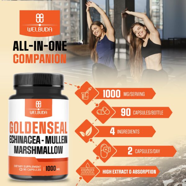 Botella de suplemento Goldenseal con ingredientes naturales