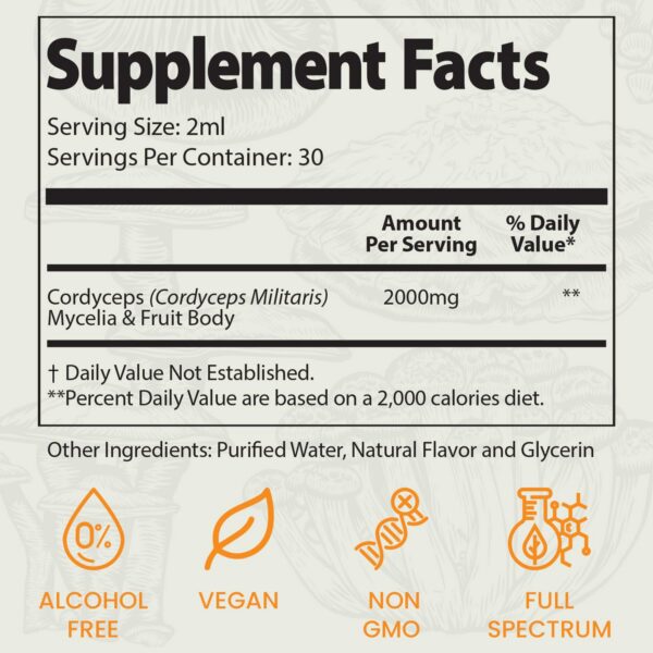 Botella de tintura Auri Elixir Cordyceps natural