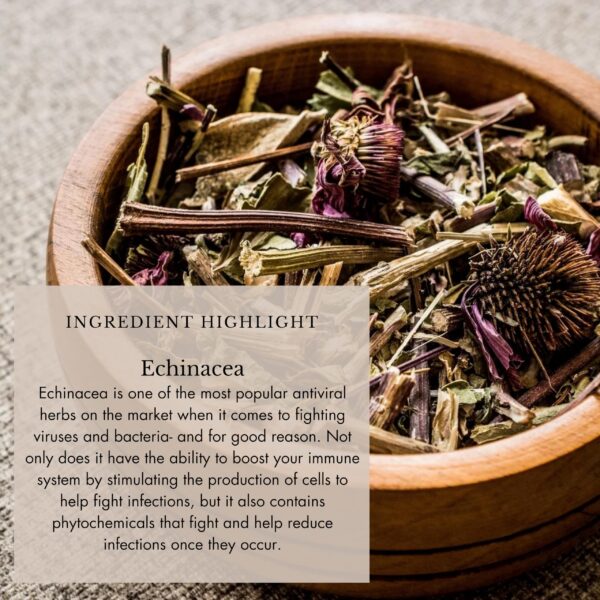 Version 1.0.0 Botella tónico inmunológico 2 oz Anima Mundi Apothecary