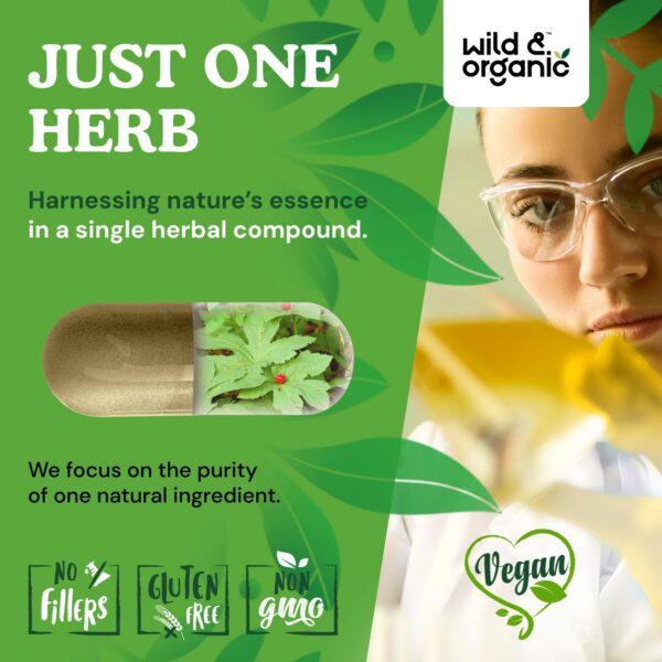 Version 1.0.0 Botella Wild & Organic cápsulas naturales sello de oro