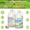 Botellas Land Art jugo aloe y clorofila sabor menta
