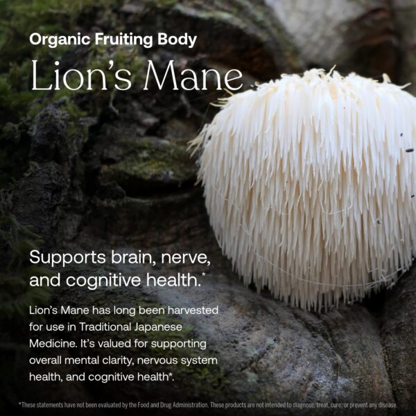 Botellas reutilizables y recicladas de True Grace para hombres