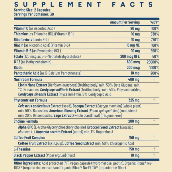 Version 1.0.0 Frasco lateral Brain-fx
