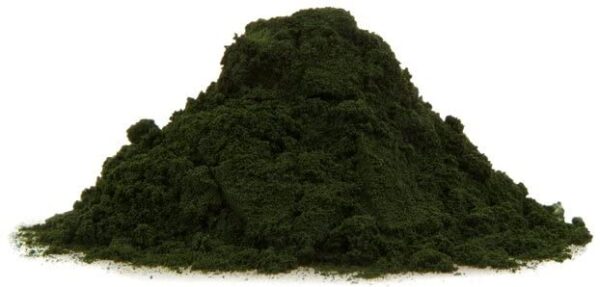 Buy Wellness chlorella polvo orgánico superalimento vegano no irradiado