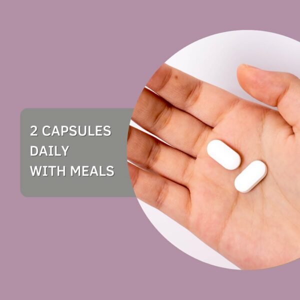 Empaque de EE. UU. y certificado