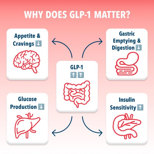 Probióticos Clostridium para la mezcla