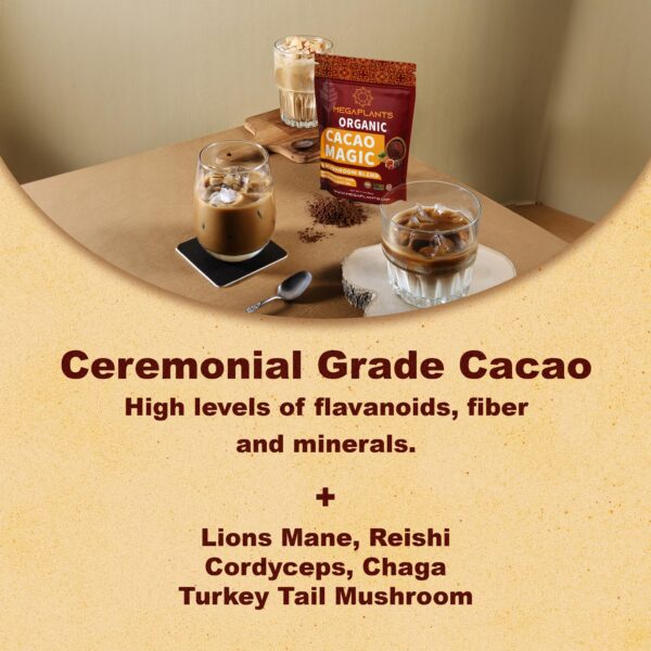 Cacao orgánico en polvo con hongos funcionales