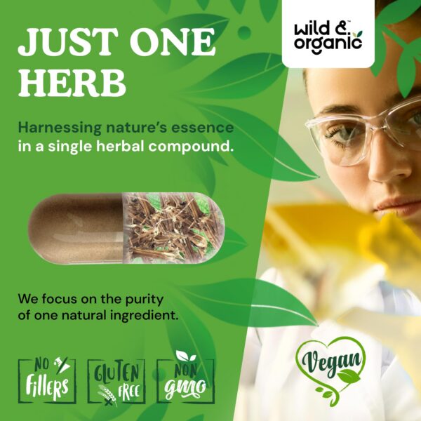 Cápsulas Wild & Organic para soporte urinario 90 días