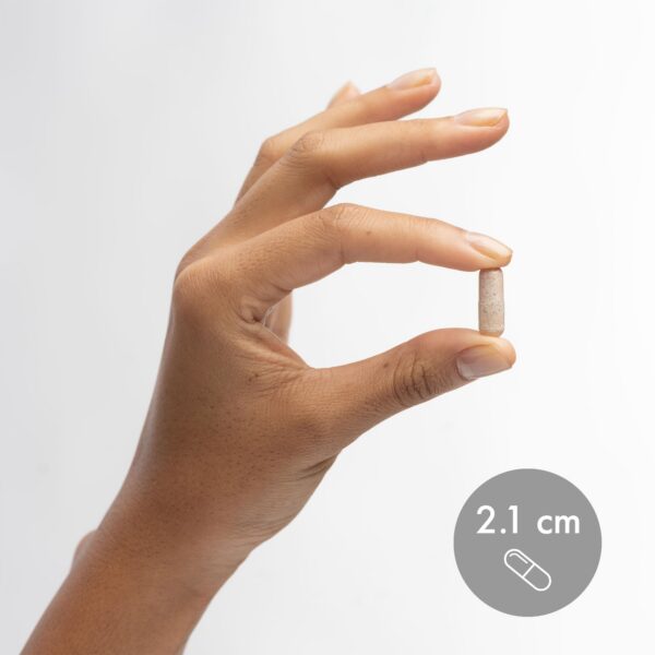 Version 1.0.0 Caja de 30 cápsulas Dr. Mercola Lignanos con Licopeno