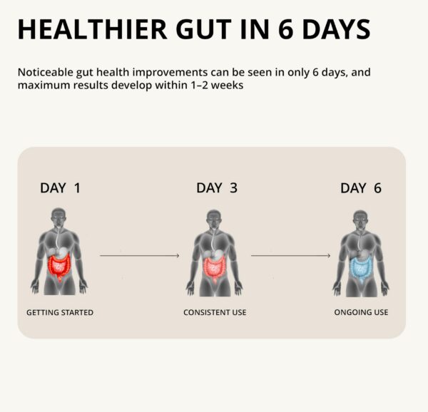 Version 1.0.0 Caja y botella de suplemento probiótico