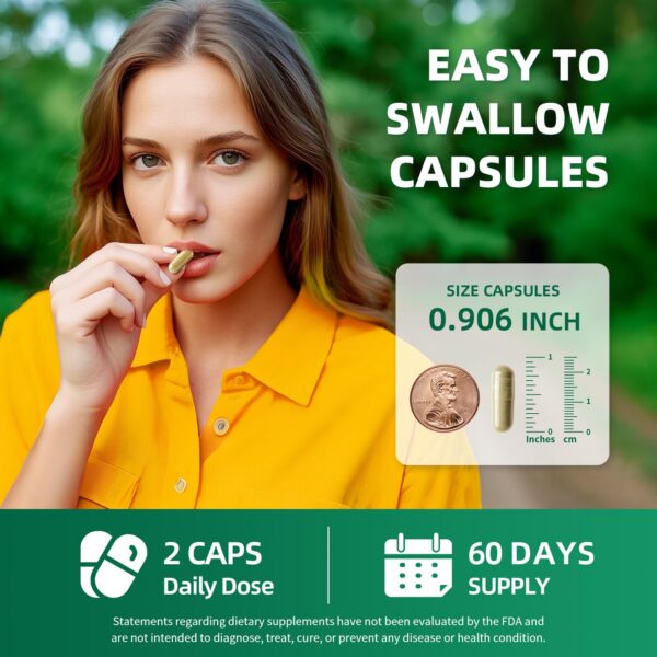 Caja y botella suplemento GreenPeople limpieza hígado y reparación