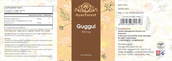 Caja cápsulas AYURFOREST Guggul con extracto de Arjuna