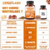 Caja de cápsulas Mushroom Complex 90 unidades veganas