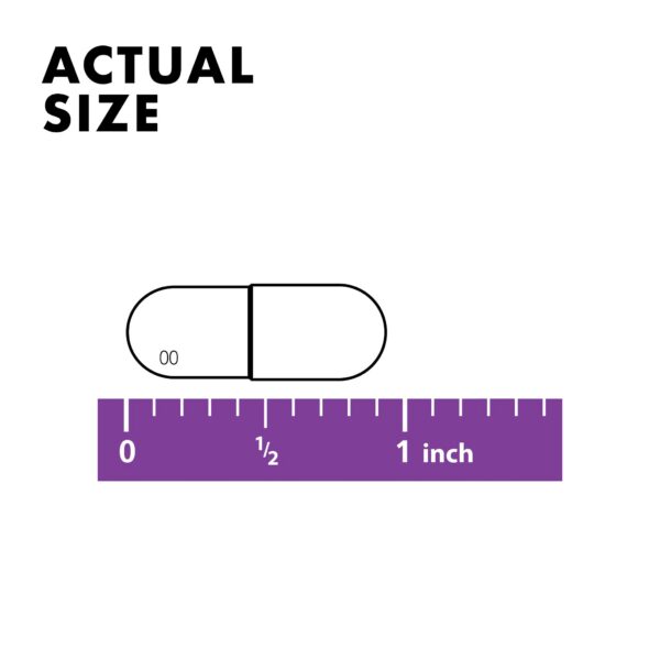 Caja y etiqueta de Bluebonnet