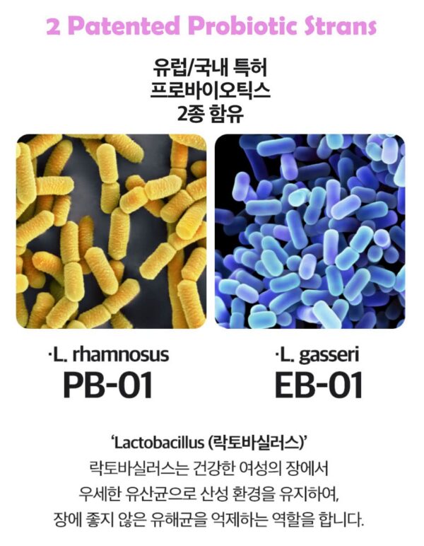 Caja y frasco Bifolacto Probióticos Balance mujer
