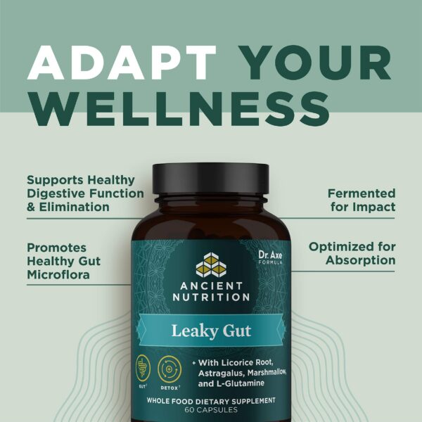 Caja y frasco suplemento Leaky Gut Ancient Nutrition