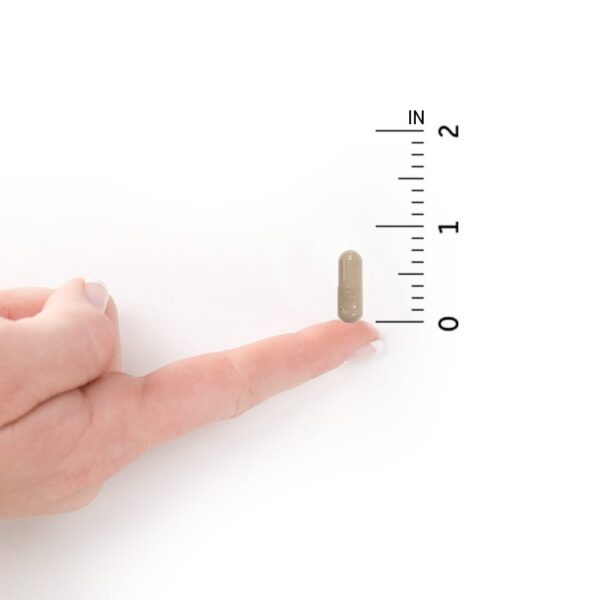 Suplementos naturales Garden of Life para energía y salud femenina