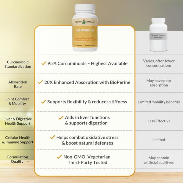Caja Natural Wellness cápsulas cúrcuma 95