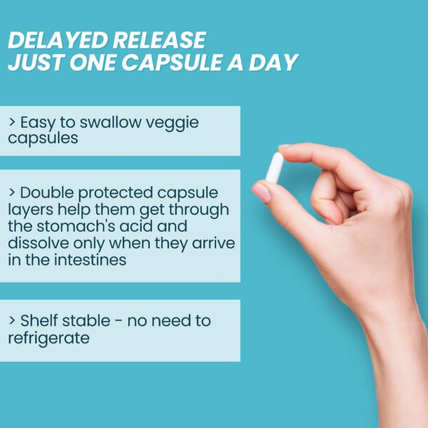 Caja de Nature's Base cúrcuma y jengibre con probióticos