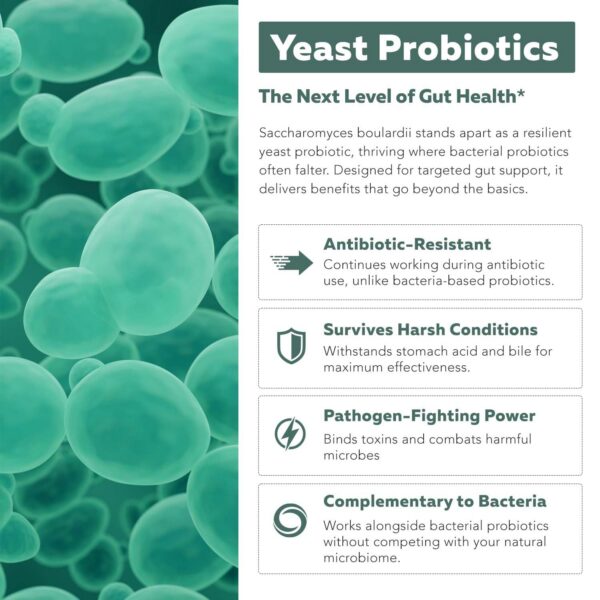 Version 1.0.0 caja de probiótico triquetra health saccharomyces boulardii orgánico