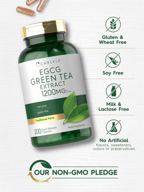 Version 1.0.0 Caja del suplemento Carlyle extracto té verde EGCG 1200mg