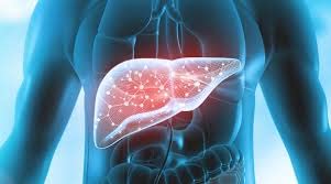 Caja té herbal digestivo apoyo hepático sin cafeína