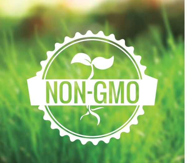 Cajas de Flamasil suplemento antioxidante y antiinflamatorio 13 en 1