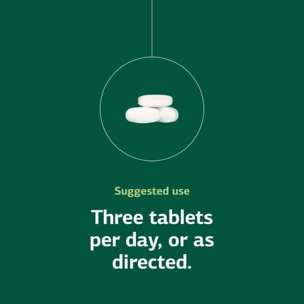 Version 1.0.0 Primer plano de tabletas veganas