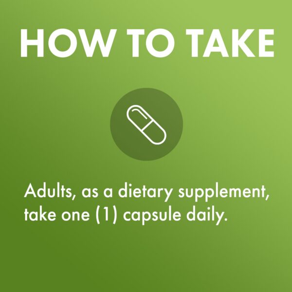 Calidad premium suplemento Dr. Mercola metilfolato