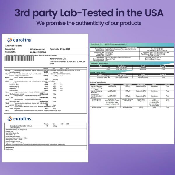 Version 1.0.0 Calidad premium USA gomitas NOORUZ sin alérgenos