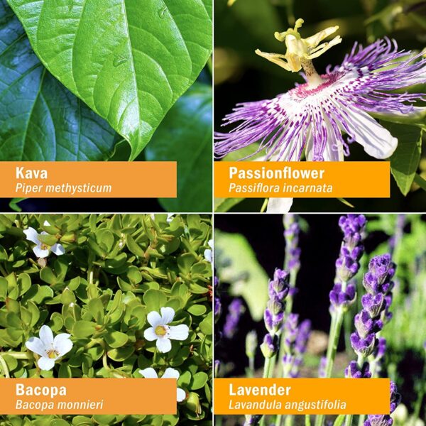 Calmante para ansiedad Herb Pharm extracto herbal líquido 2 onzas