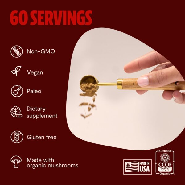 Cantidad polvo suplemento reishi FreshCap 60 porciones