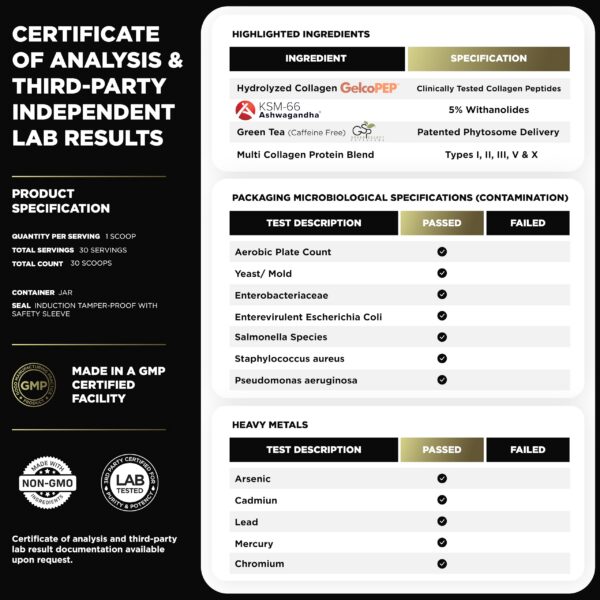 Vista de la Tapa y Envase