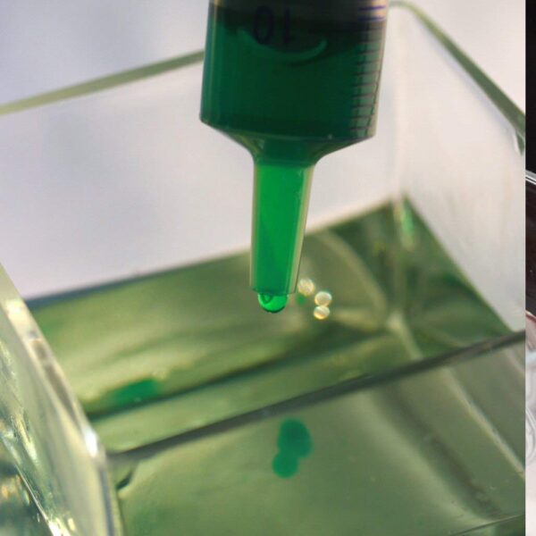 Version 1.0.0 Frasco de citrato con tapa