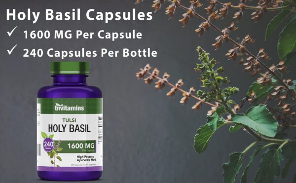 Cápsulas albahaca sagrada tnvitamins cápsulas dentro del envase